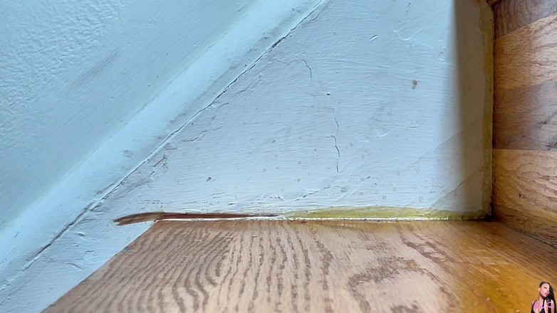 Pink Foxx: Subindo E Descendo Escadas