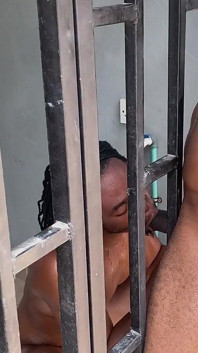 Sucking From the Cage
