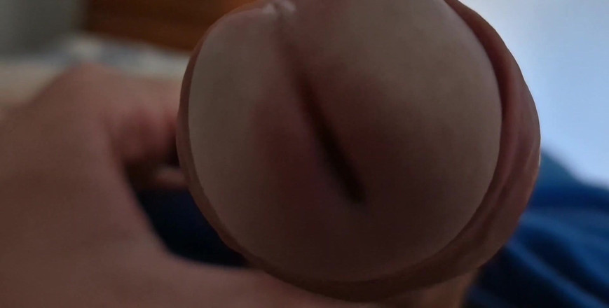 Lkdick8: Il primo piano della testa di My Dock