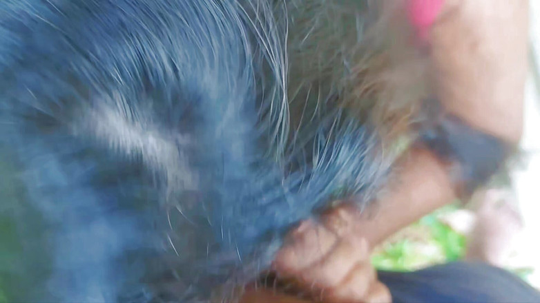 Tharumini_Official: Hintli köylü kız ormanda sakso çekiyor 2