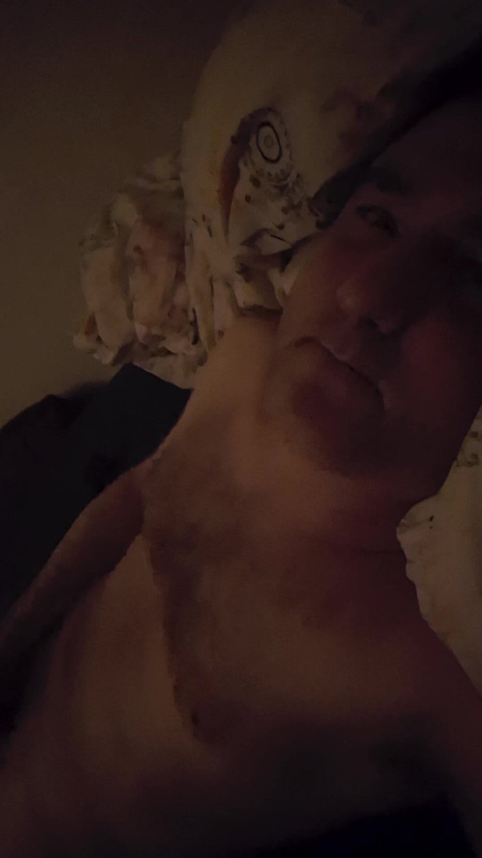 Bjornlive: Taman Bermain Pribadi