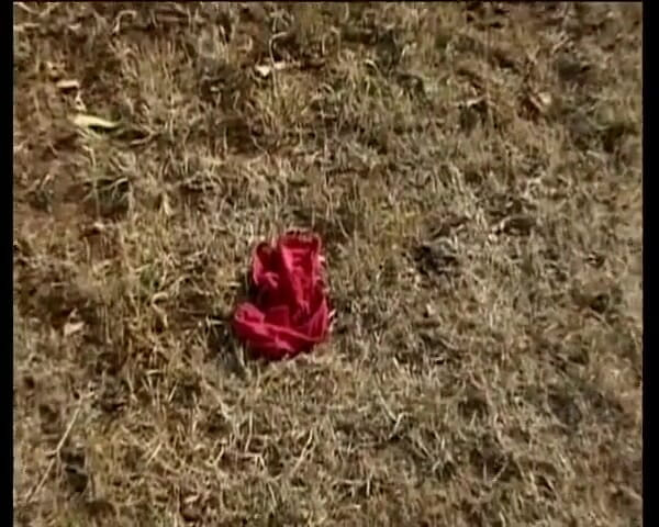 GOLDLIGHT - OFFICIAL: Doğal saçlı esmer Alman genç erkek avcısı açık havada grup...