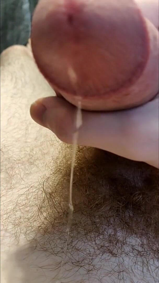 AssHungry4Cock: I slowly stroke out a precum puddle