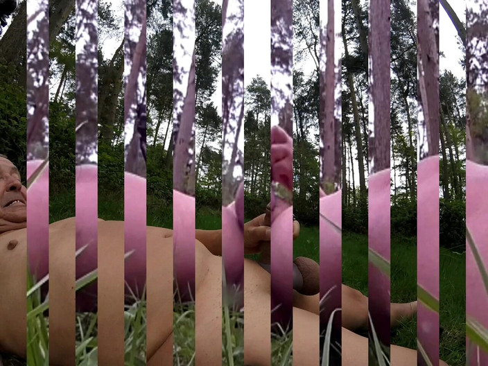 Andy: Caminhada 21 2025