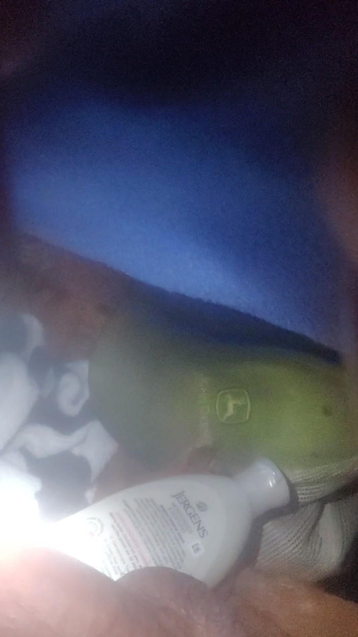 LynnynrdSky ynrd: 쓰 다듬어