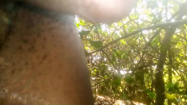 Judith xxx: Travel bush