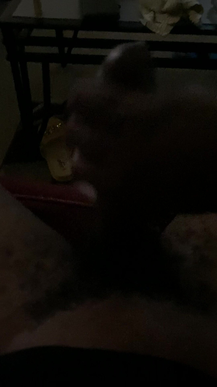 Willy wonka studio: Kirk grande affare