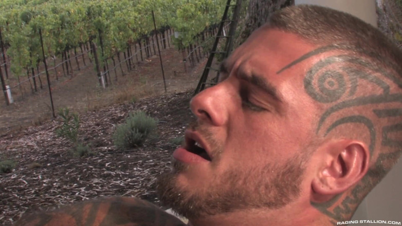Raging Stallion: 자이언츠, 1부
