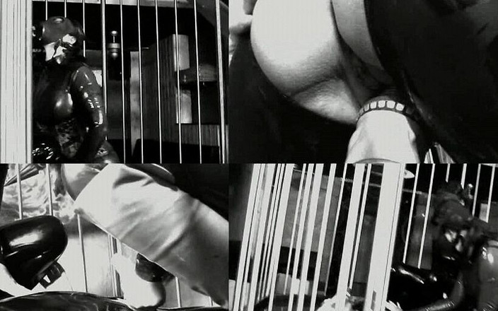 Deutsche Dominanz: Dominazione femminile in lattice