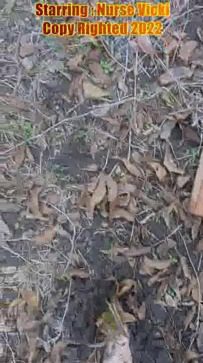 BBW nurse Vicki adventures with friends: BBW geht barfuß schlamm quetschen pOV