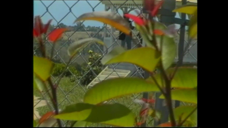 MCG Empire: सेक्स जैसा पहले कभी नहीं देखा गया