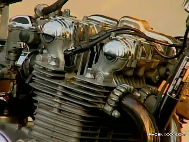 Phoenixxx: Buff ćwieki pieprzyć na trawniku z przodu