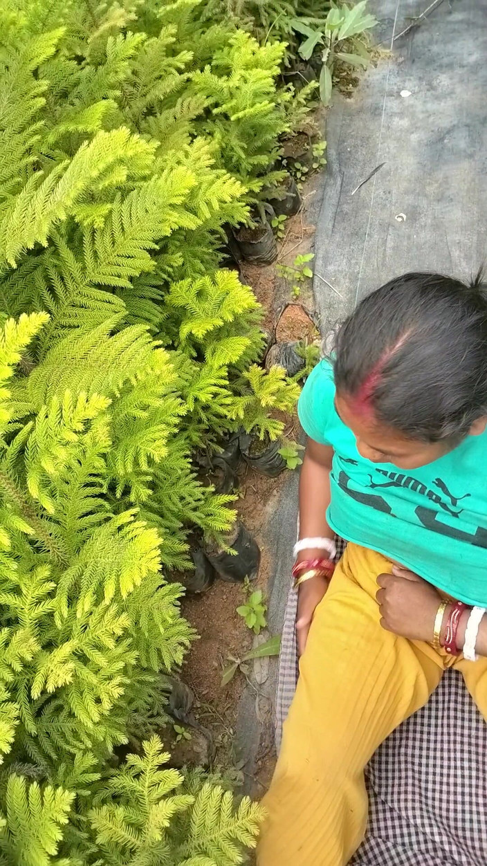 Mg3947731: Manžel manželka plná Deshi Sexy videa