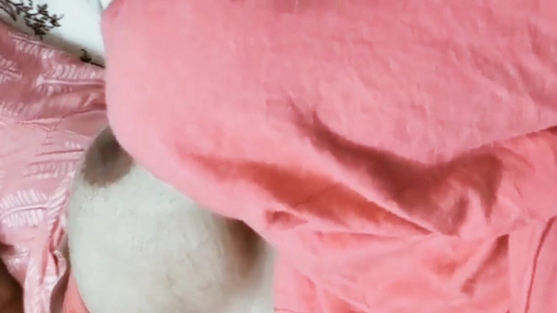 Joya Malik: 발정난 Devar와 그의 바비의 인도 비하리 섹스 비디오