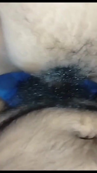 哥在手淫然后我操它
