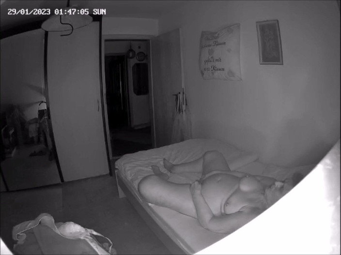 Heisseoma: 监控摄像头3