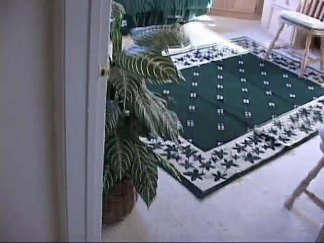 The Dark Side X: Молода брюнетка готова до глибокого міжрасового сексу