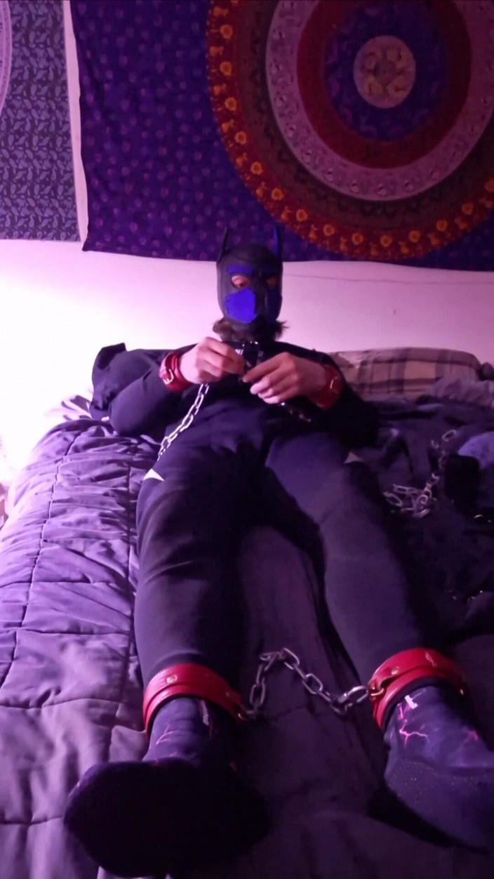 Robert48569: Neopreen petplay zelf bondage kettingen leren puppyplay pup mash hood...