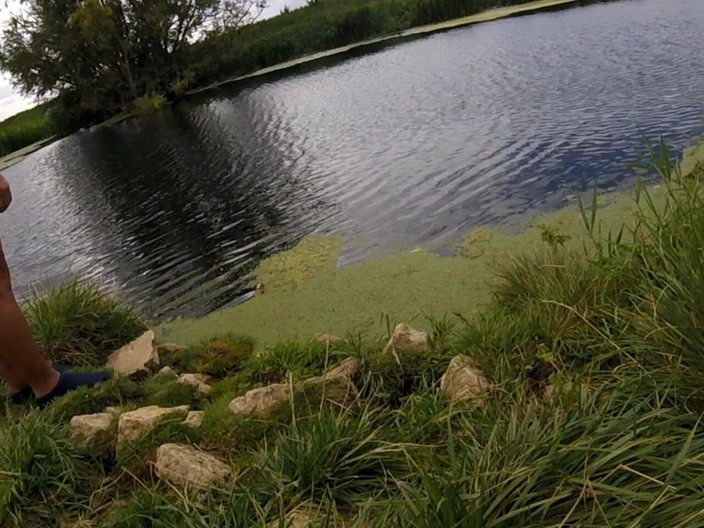 Andy: Yürüyüş 61 2025