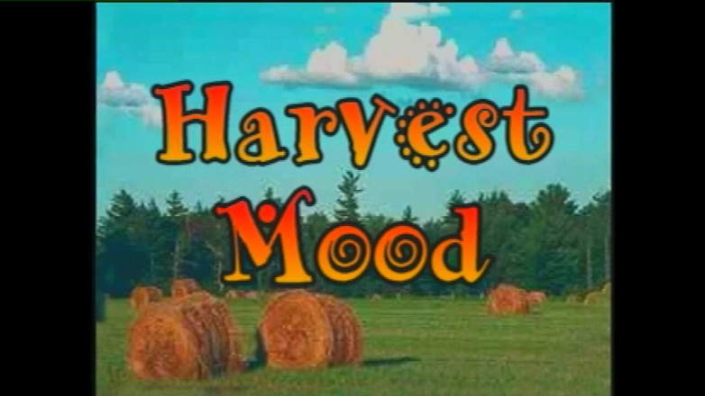 Heatwave Gay: Gay Fun One, część 1