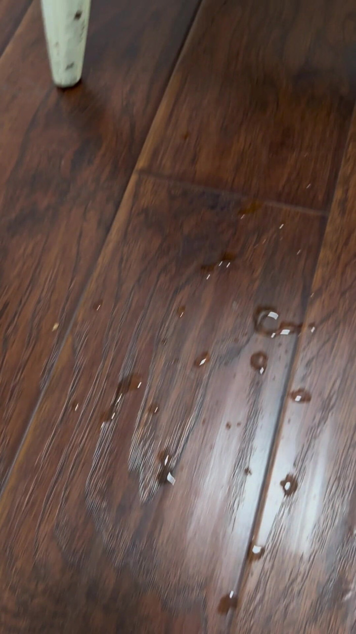 Katiekampbell: Poskakování na bbc robertku