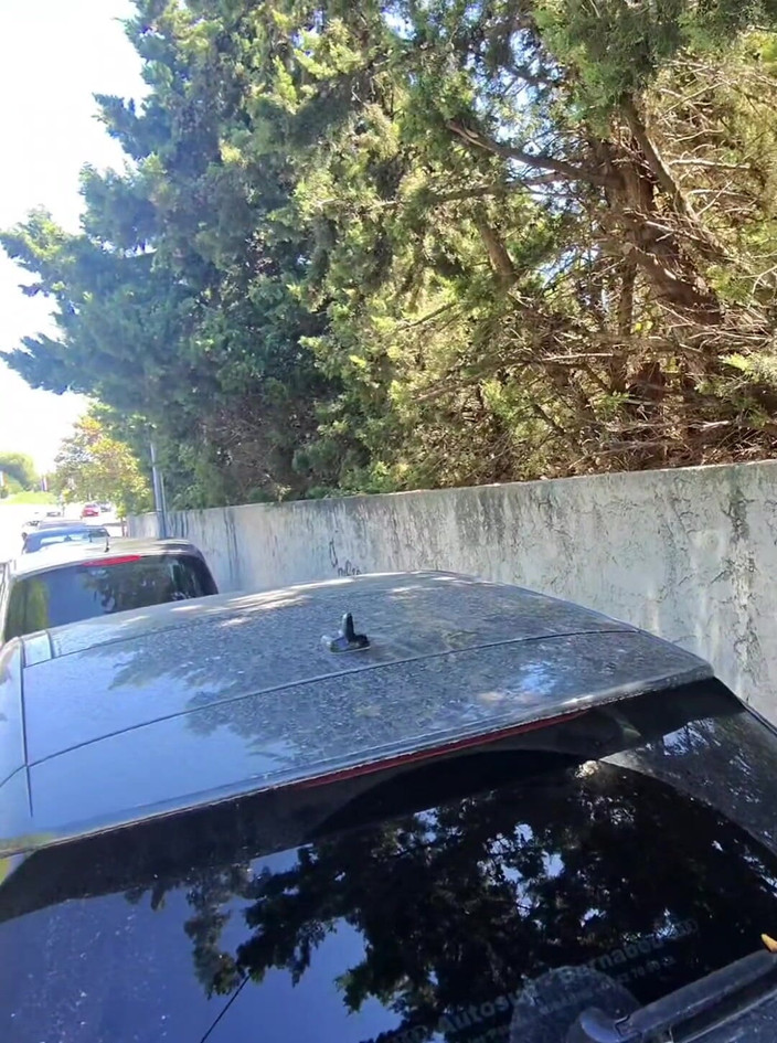 Sofy13: 특별전 길 한가운데에서 오르가즘까지 클리토리스를 만지작거리고 있습니다.