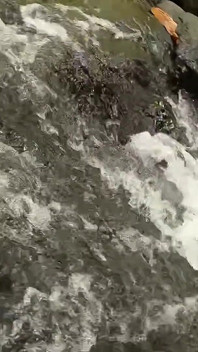 Risky Sex on the River