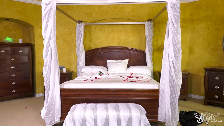 Trans Angels: 트랜스앤젤스 - 신부에게 사정 - 코너 맥과이어, 샤넬 산티니