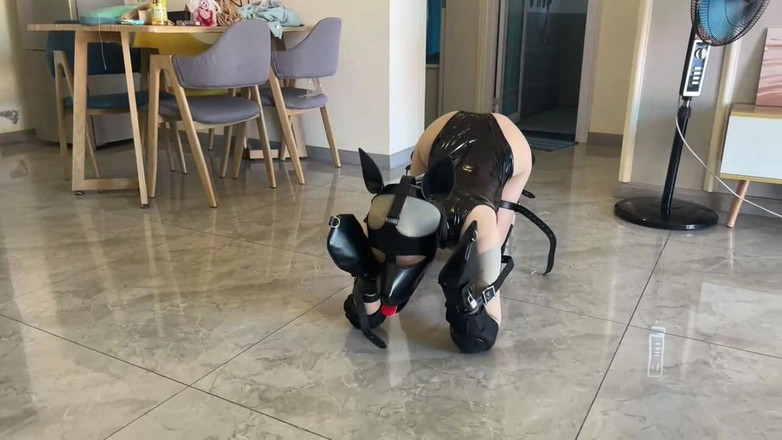 OrangeXXOO: Addestrare e insultare la mia ragazza sexy 10