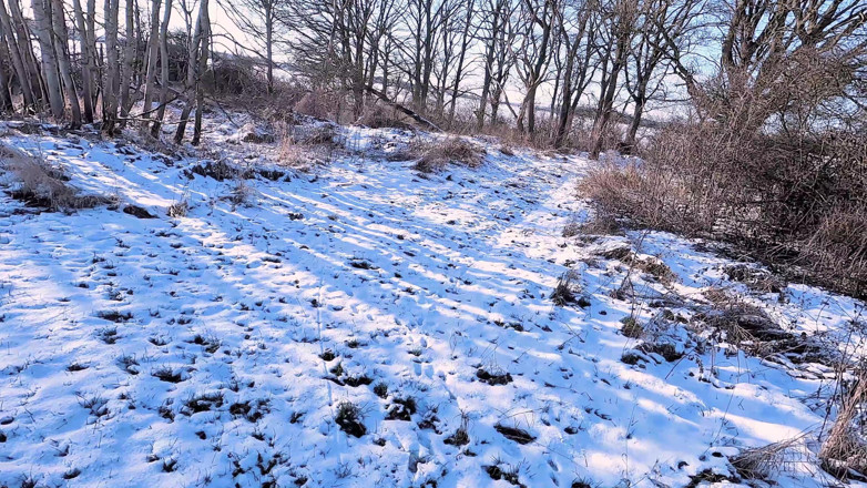 Bouncy Tits Action: Topless Hiking in the Snow Getting Slapped
