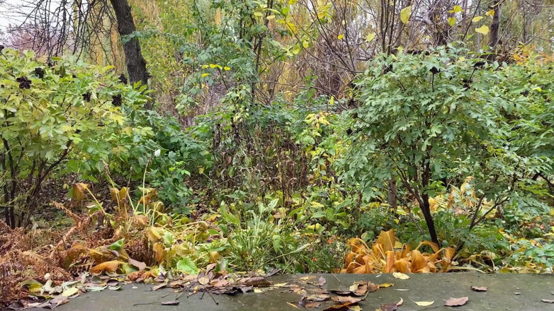 OurFetishLife: Fuente tibia de la casa de mi madrastra