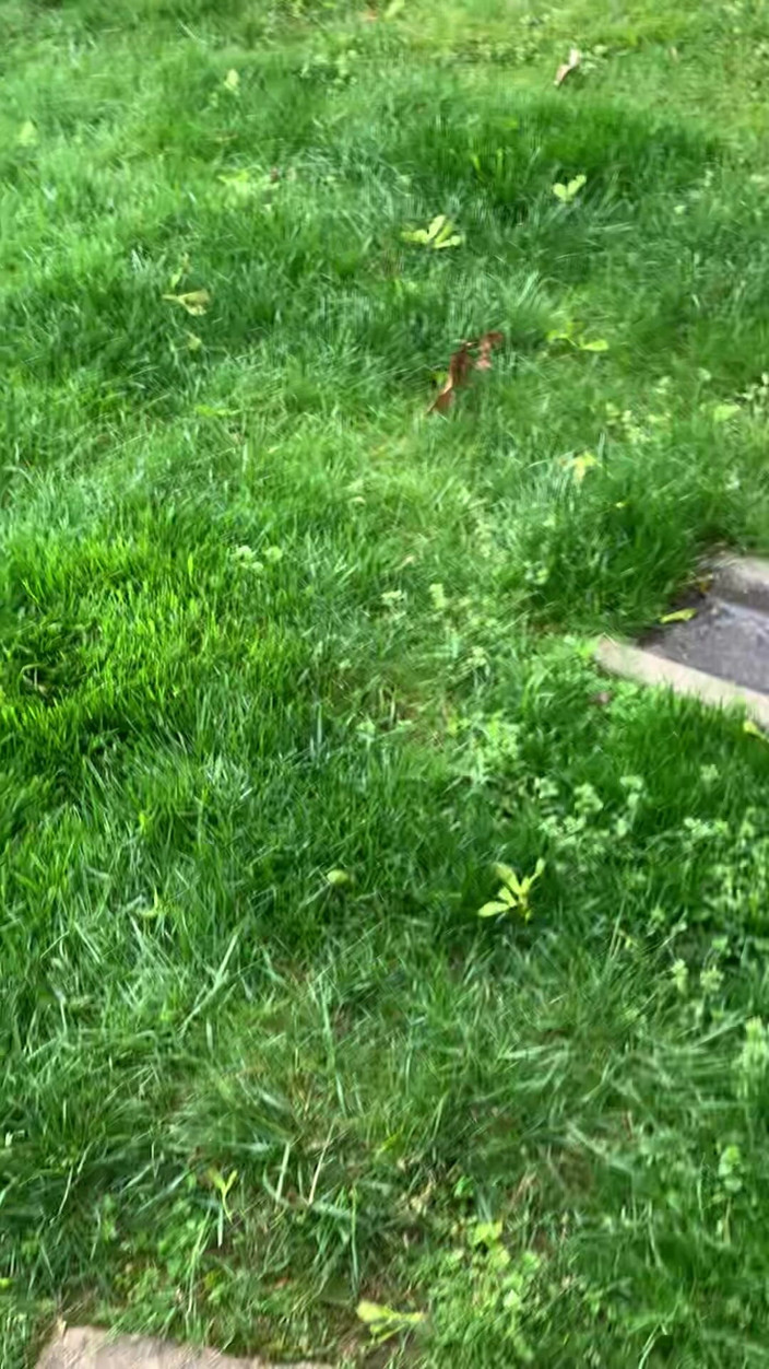 Jaycee starr: Beim masturbieren vom bf erwischt