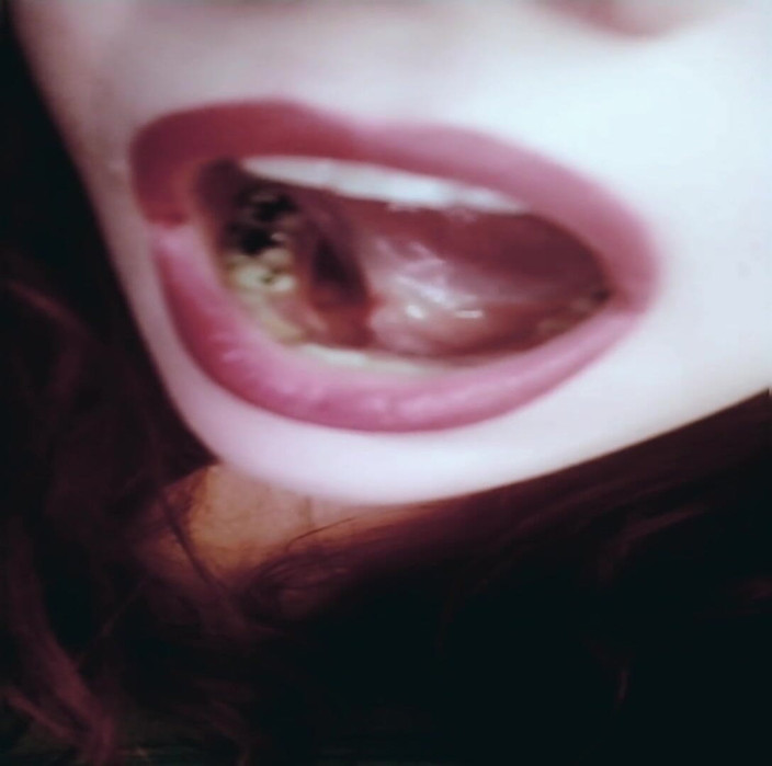 Scarlet Vixen: 深夜