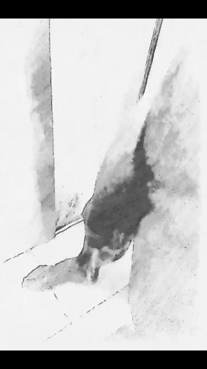 i7Bernard: インスタグラム製 I7bernard