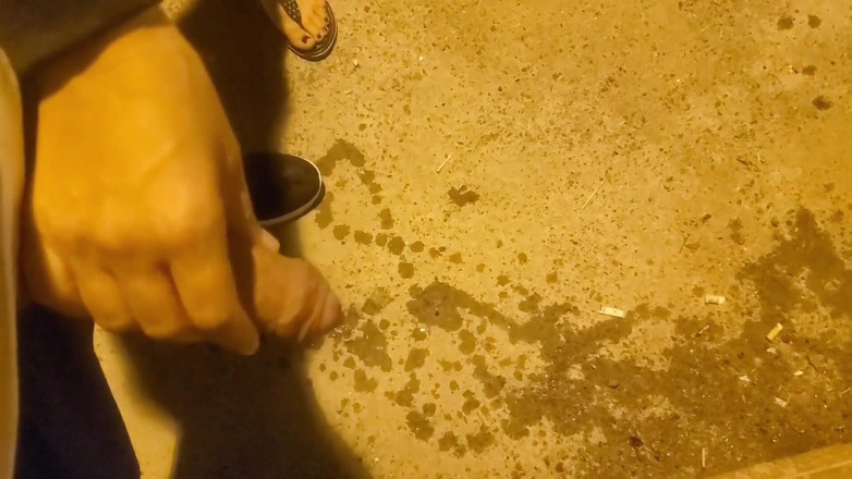 Mya Lane: 호텔 수영장에서 우리를 영화하는 야생의 밤과 친구