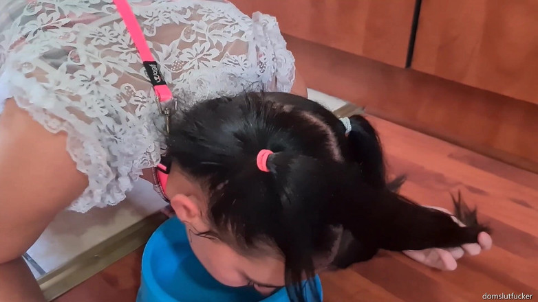 domslutfucker: Pigtailed Slut Walked with Leash Laps up Piss