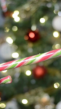 De kerstman heeft haar misleid met zijn snoepgoed - enorme lading in gezicht