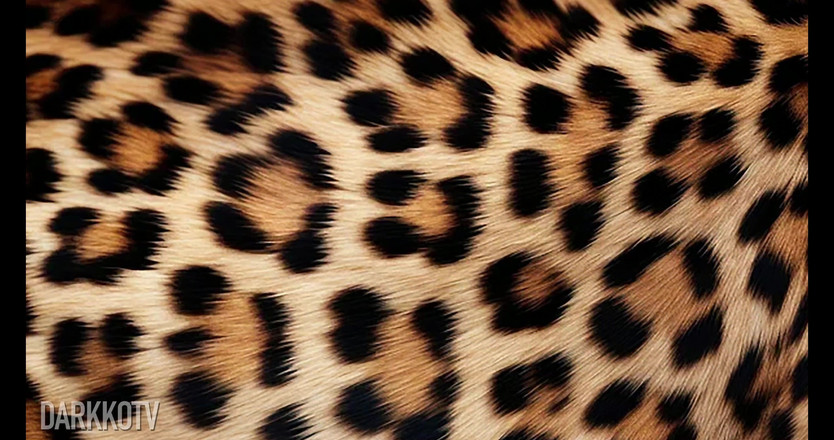 DarkkoTV: Sadie Summers hava geçirmez ırklararası grup seks