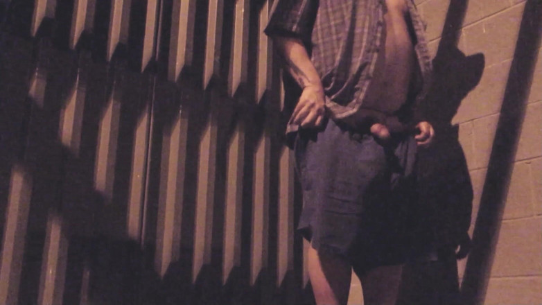 The porky pervert: Branlette nocturne risquée