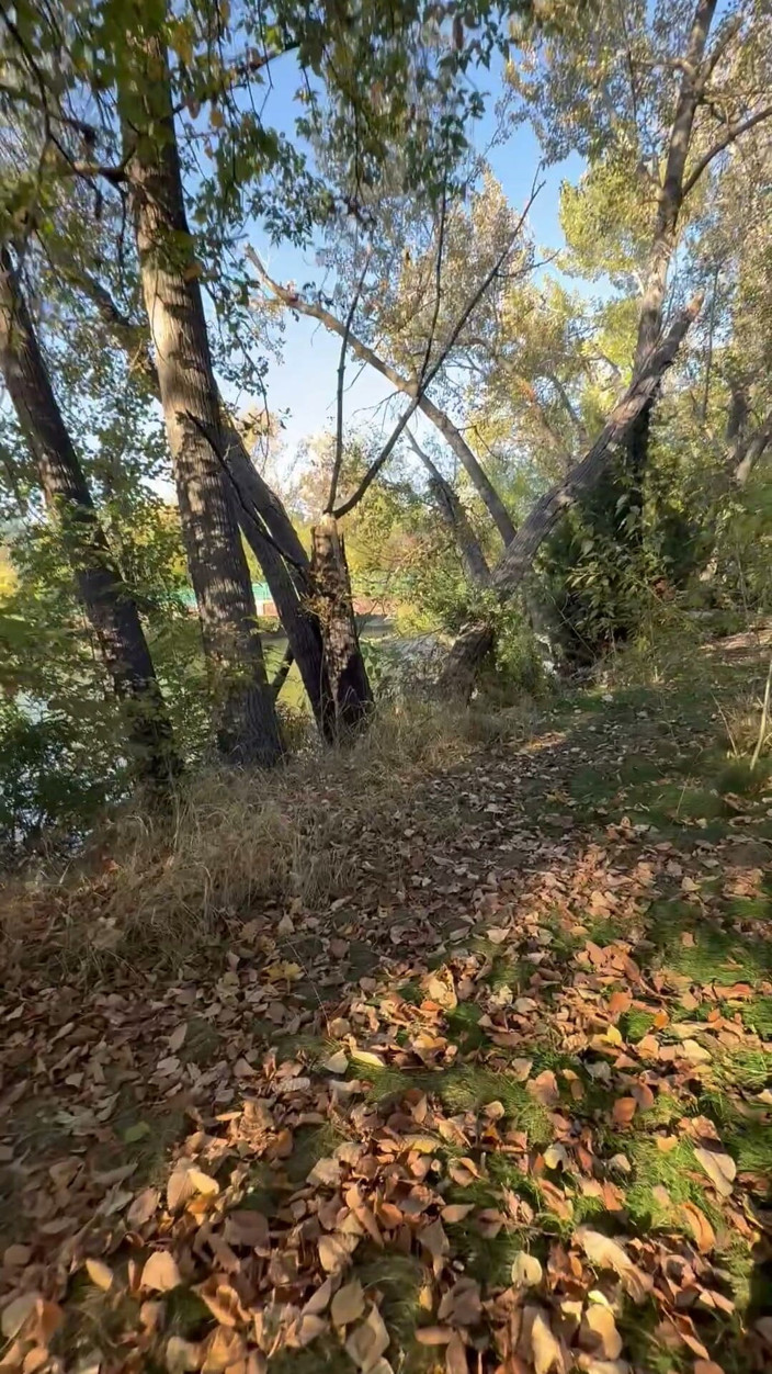 unemployedrobot: Publiczna masturbacja Boise Idaho Greenbelt Bike Walking Trail