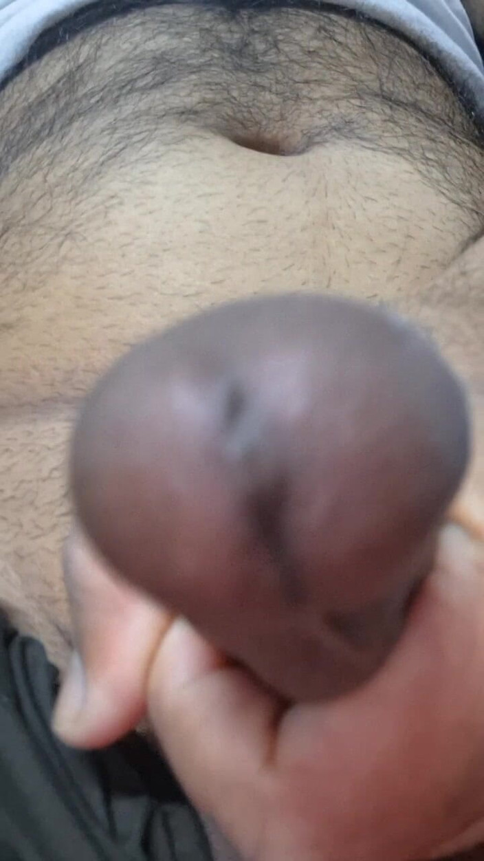 Shahzadi: パキスタンのタイガイ