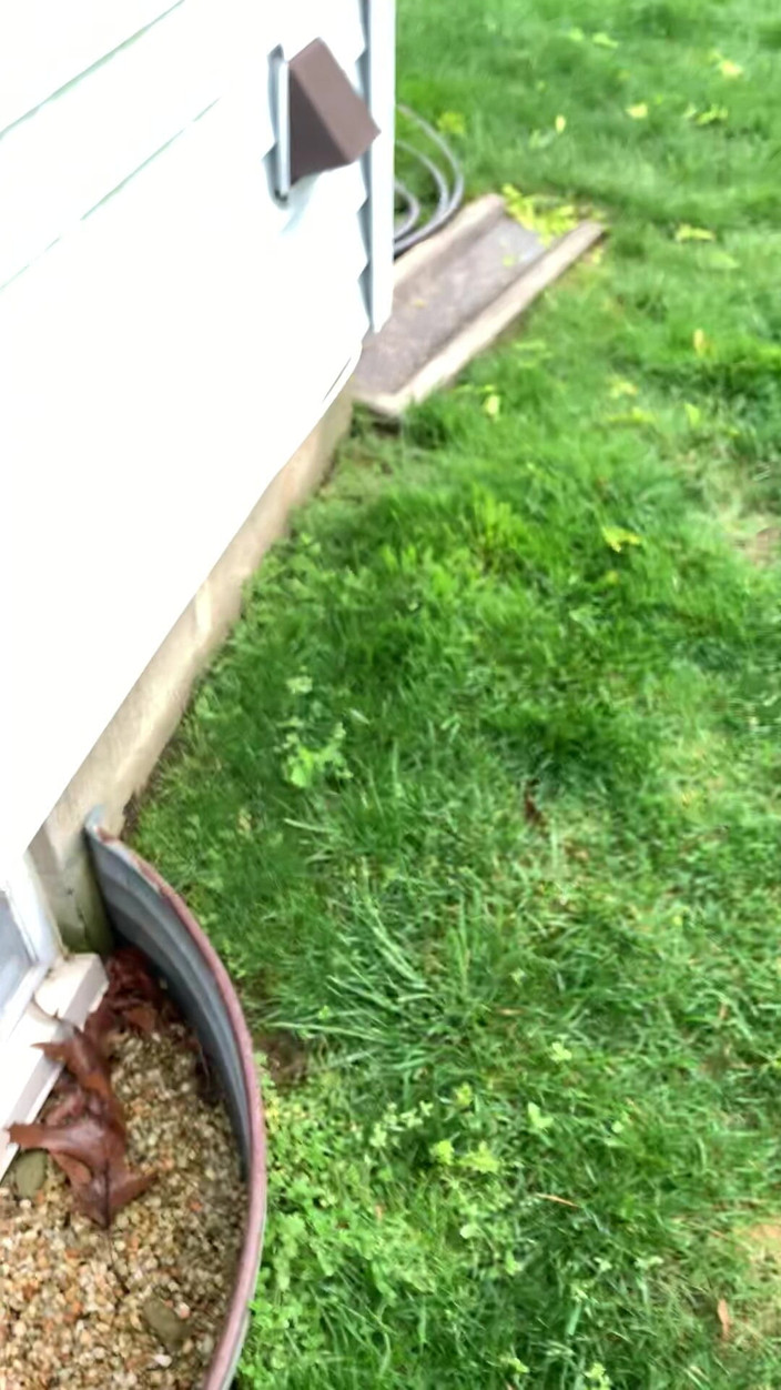 Jaycee starr: Atrapada masturbándose por novio