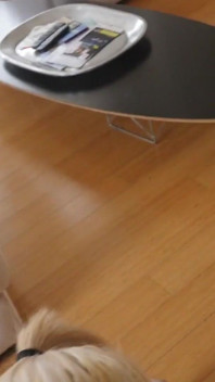 Beautiful blonde stepsis takes a deep dicking