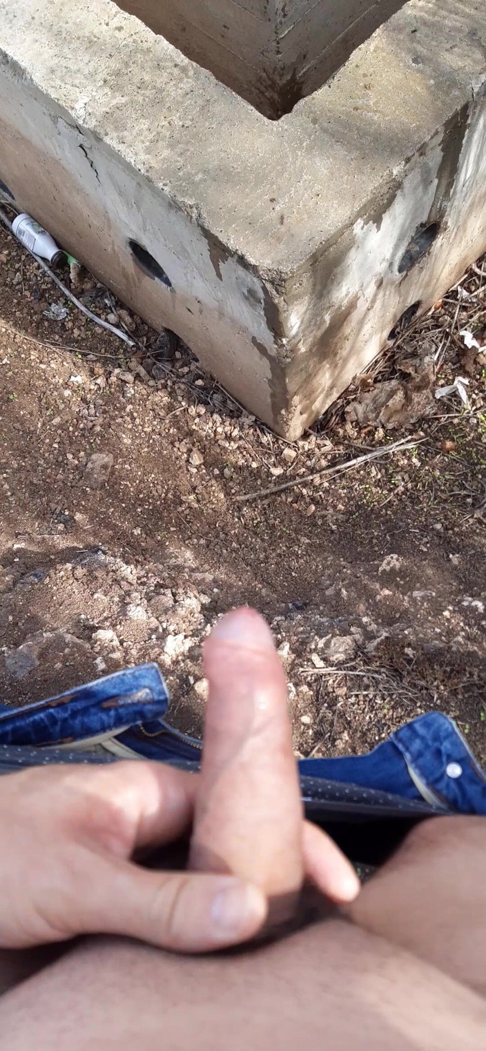 Orinadas_jmv54: उच्च और बड़ा पेशाब