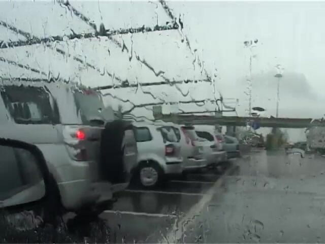 King Of Amateur: Migratório paus e vagabundas