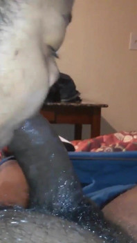 BBW kouření líže all over dick saje sperma z toho