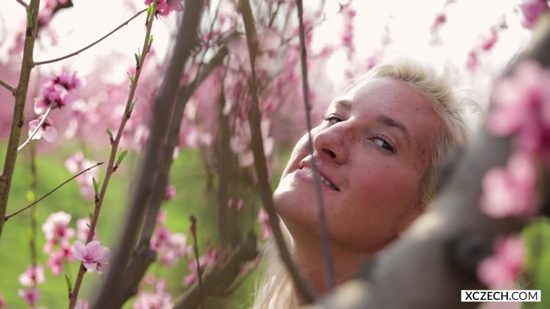 XCZECH: Sharon Cherry - çiçek açan kiraz - premium