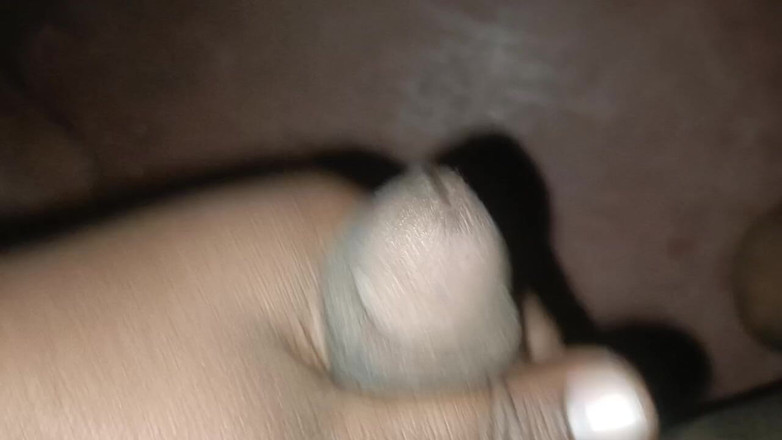 LegalVector8: Indiana calda