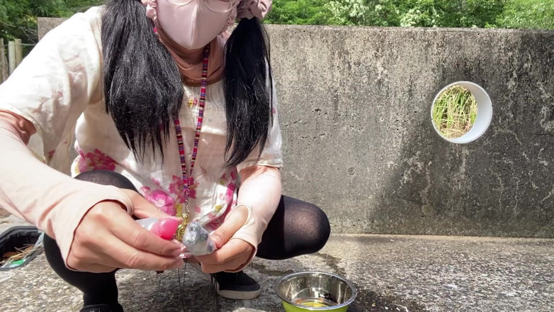 megu2002: No. 252 Outdoor “doggy Pose” Pee