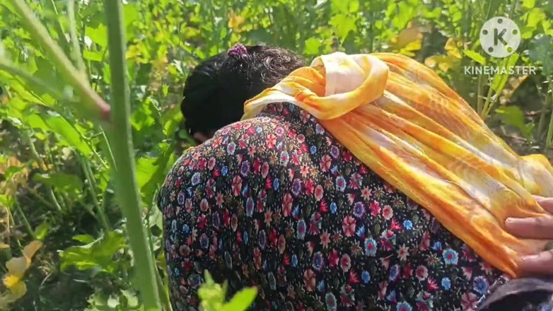 Savita5343: Village Desi Bhabhi Fucked in Mustard Field in Doggy Style....